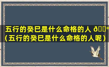 五行的癸巳是什么命格的人 💮 （五行的癸巳是什么命格的人呢）